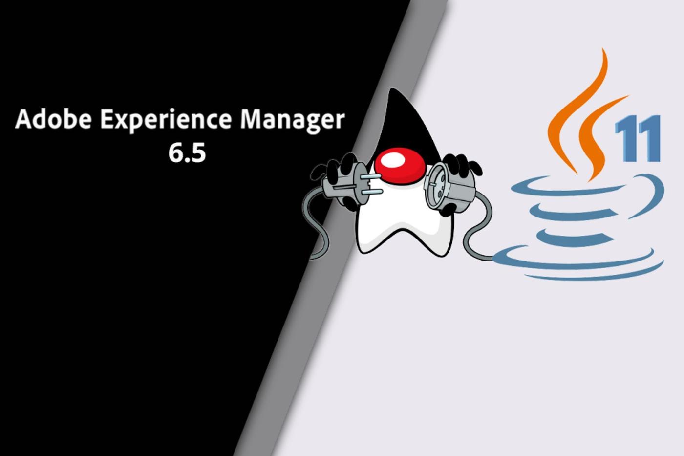 adobe-experience-manager-and-jdk-11.jpg